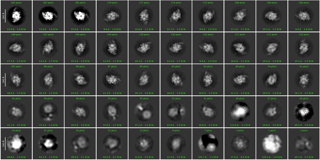 Odd 2D classes while merging data - 2D Classification - CryoSPARC Discuss