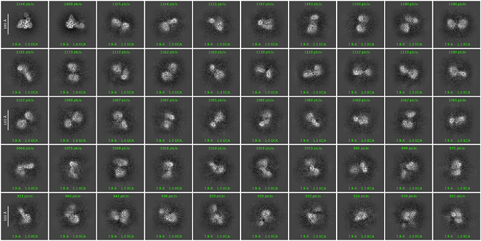 J231_2d_classes_for_iteration_61