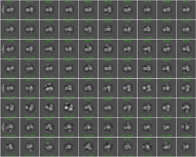 J167_2d_classes_for_iteration_40