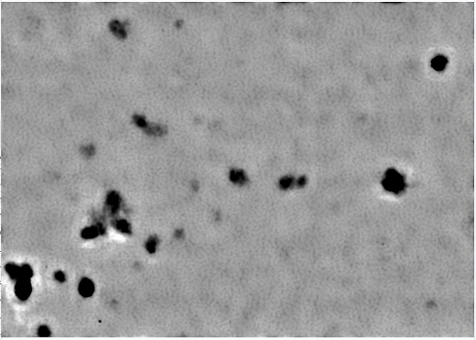 nan1
