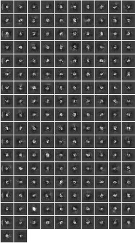 J123_selected_172_classes