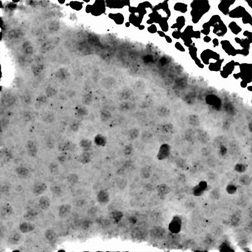 P9-J112-16648862408442619232