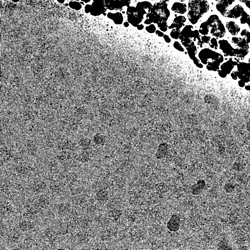 P9-J112-16648862408442619232 (1)