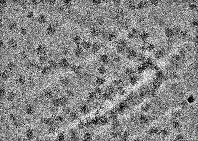 Micrograph