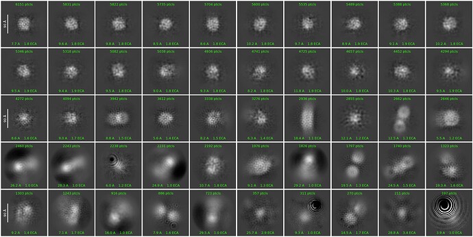 J8_2d_classes_for_iteration_42