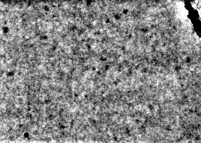 P371-J296-11896360864509947163 (1)