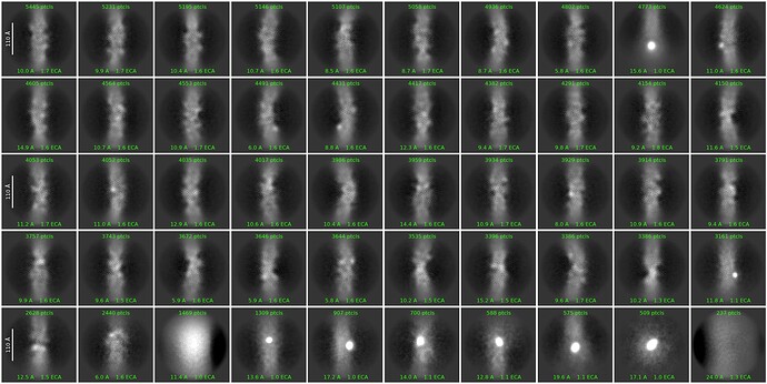 Figure 3  2D Classification results