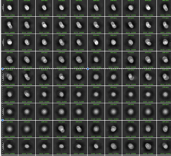Screenshot 2026-07-14 at 07.06.50
