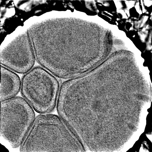 P9-J6-9487840963161486460