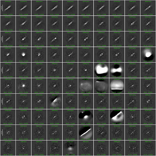 J77_2d_classes_for_iteration_40