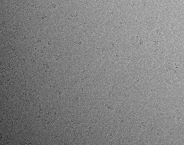 Screenshot from 2026-09-23 13-39-58