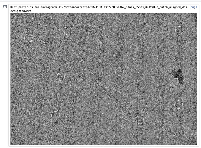 Screenshot 2025-11-12 at 9.26.53 AM