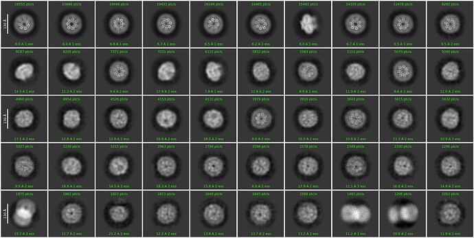 J1687_2d_classes_for_iteration_20