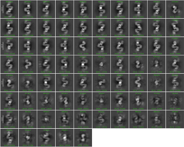 J48_2d_classes_for_iteration_20