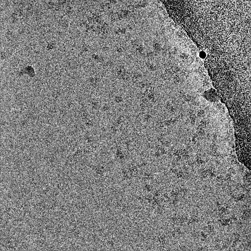 P1-J162-12088028097473410159