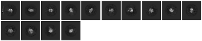 J479_selected_14_classes
