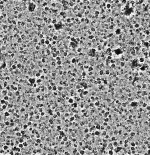 P15-J300-266604850328387617