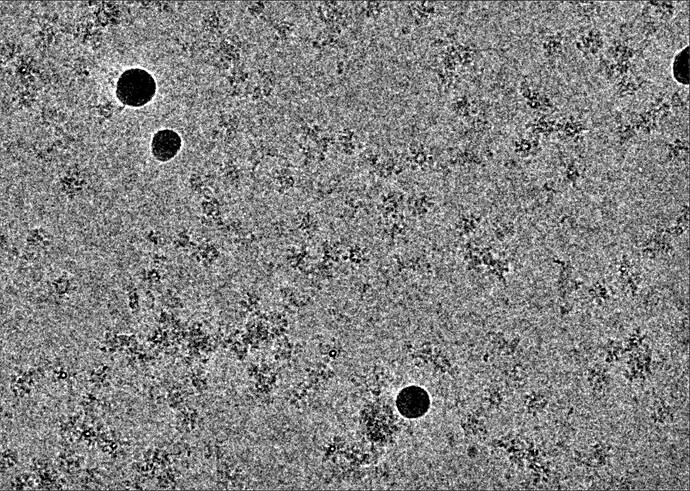 Screenshot from 2025-08-05 15-45-40