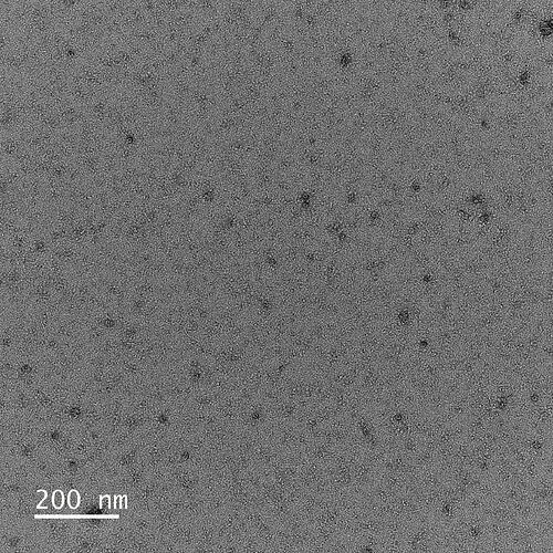 Fe-NC-1000_-0053