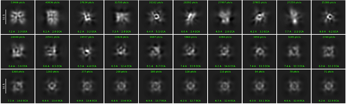 J40_2d_classes_for_iteration_41 (1)