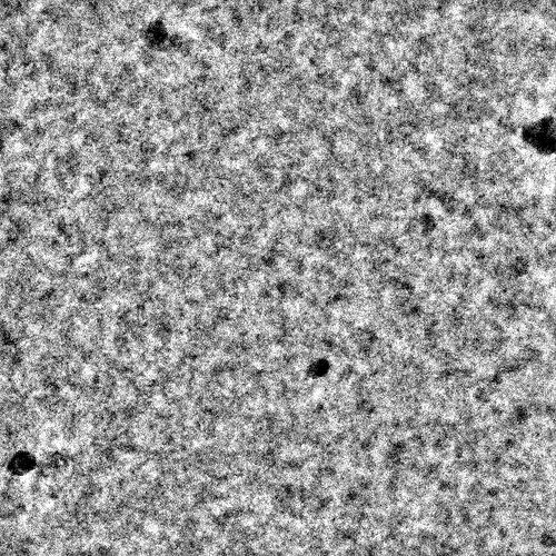J1505_raw_input_micrograph