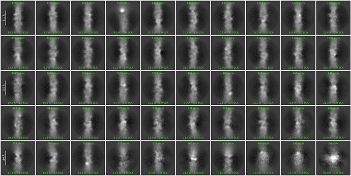Figure 4  Second round of 2D Classification results