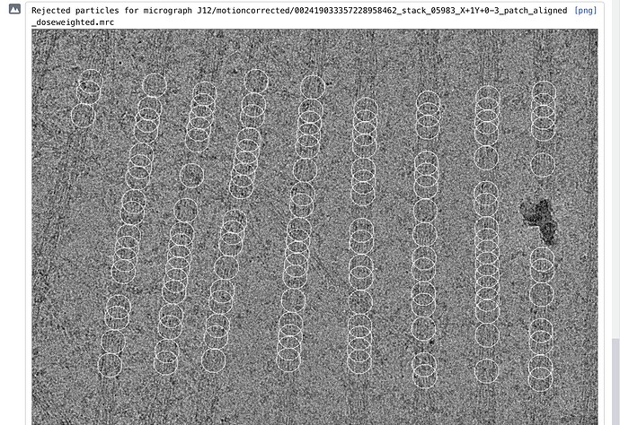 Screenshot 2025-11-12 at 9.32.23 AM