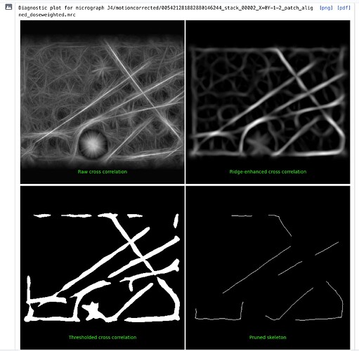 Screenshot 2025-11-12 at 9.24.36 AM