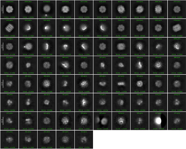 J81_2d_classes_for_iteration_20