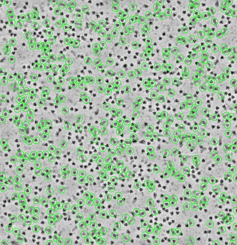 P6-J127-11853734564997016283 (1)