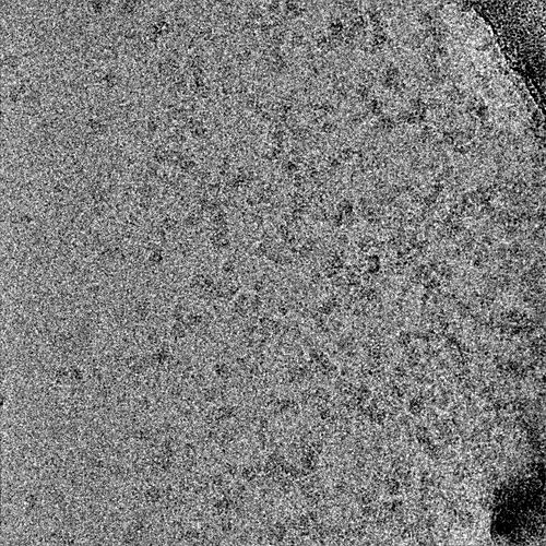 P1-J162-1642341707558266922