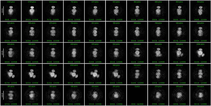 J69_2d_classes_for_iteration_54