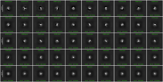 J31_2d_classes_for_iteration_20