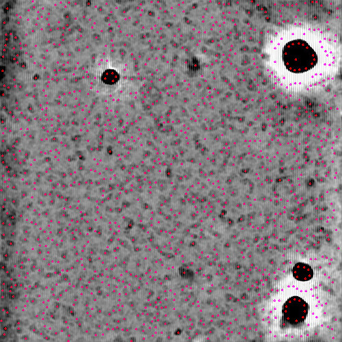 J1723_micrograph_j1719011753505369250004063_foilhole_31660596_data_31658051_31658053_20260801_030339_eer_patch_aligned_denoisedmrc