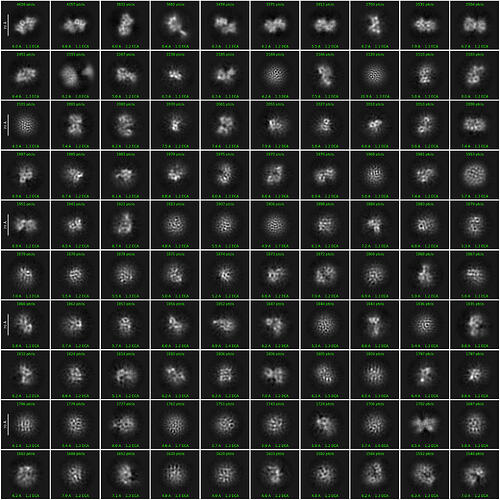 2d_classes_200px