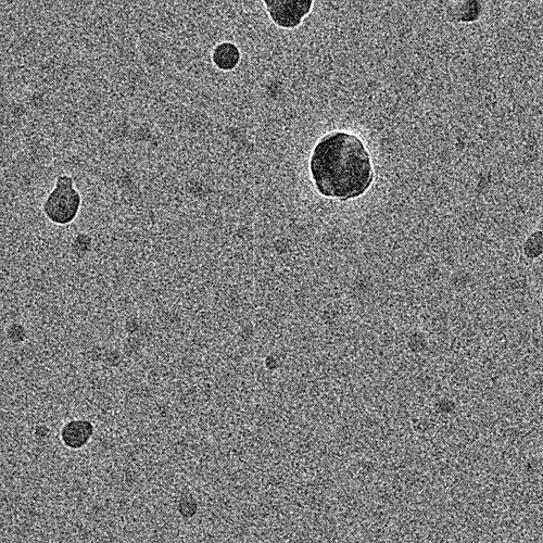P5-J5-194