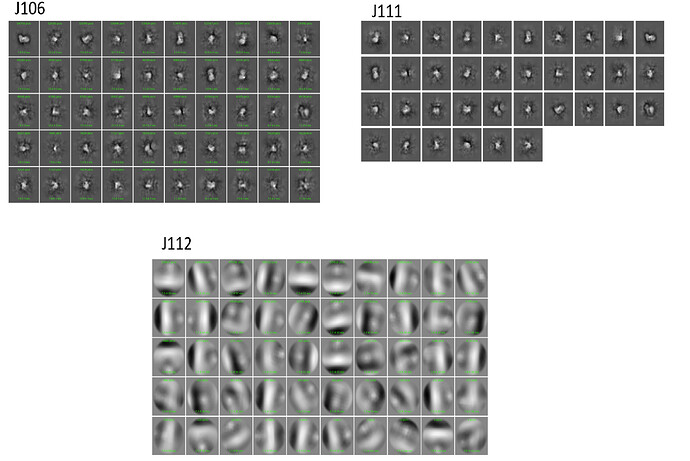 csparc_issues_05272021