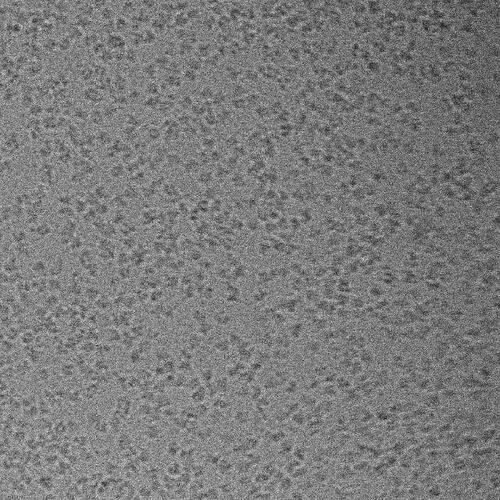 Gridp11_Box22p2_secondpreviez-dataacquisition-nooverlay