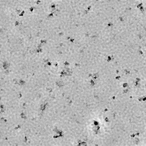 P1-J204-9752417074036492173