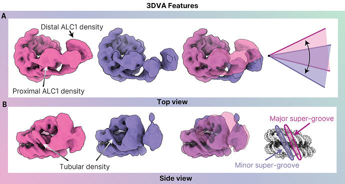 Figure23_3DVA_Features