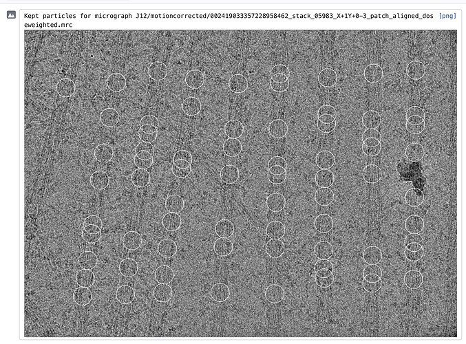 Screenshot 2025-11-12 at 9.31.38 AM