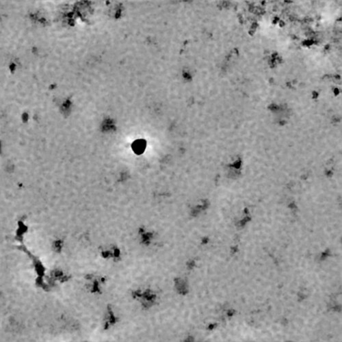 P1-J204-6735042249912973519