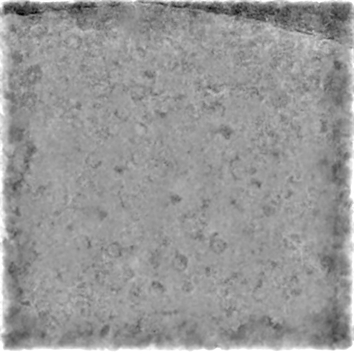 J19_denoised_output_micrograph