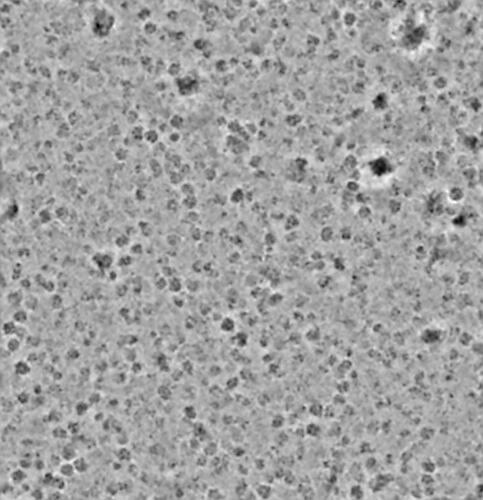P15-J280-266604850328387617