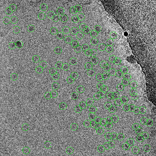 P1-J162-12088028097473410159 (1)