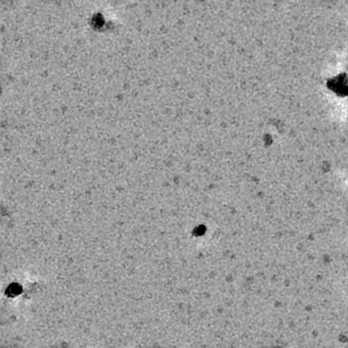 J1505_denoised_output_micrograph(1)