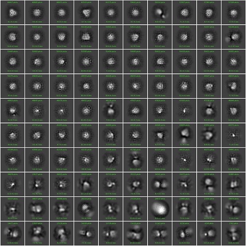 J566_2d_classes_for_iteration_40