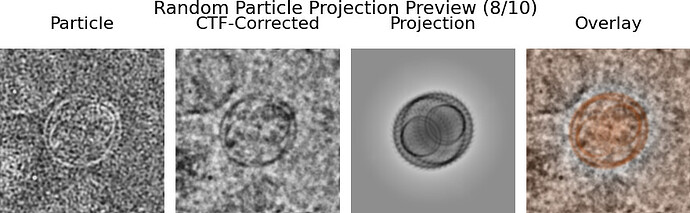 8_10_Random_Particle_Projection_Preview_particle_uid_6246346637709413035_row_201725_from_P11_J456_particles