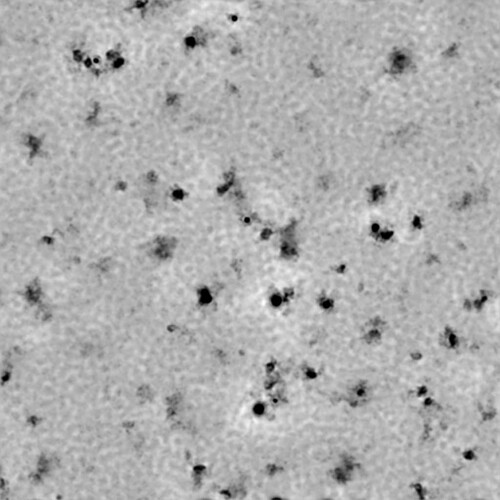 P1-J204-7827089233455970633