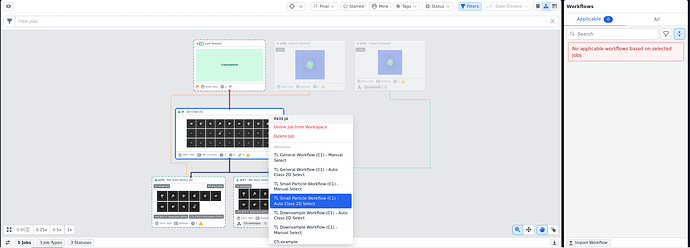 pinnedworkflow